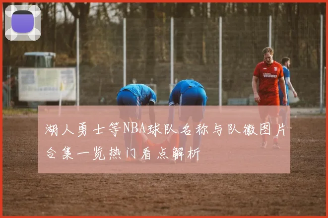 湖人勇士等NBA球队名称与队徽图片合集一览热门看点解析