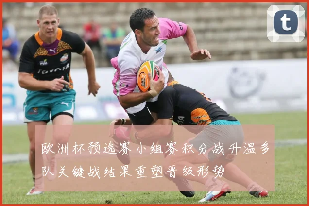 欧洲杯预选赛小组赛积分战升温多队关键战结果重塑晋级形势